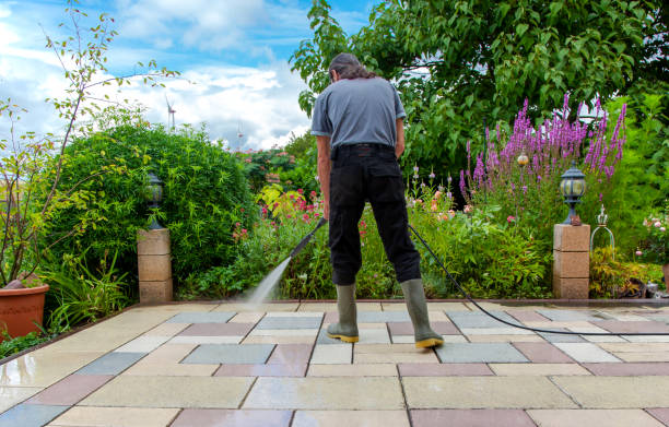 Best Animal Enclosure Cleaning  in Newington Forest, VA