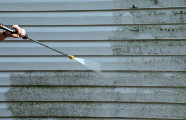 Best Driveway Pressure Washing  in Newington Forest, VA